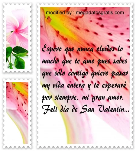 Poemas lindos para San Valentín,dulces sms para saludar a mi pareja en San Valentín