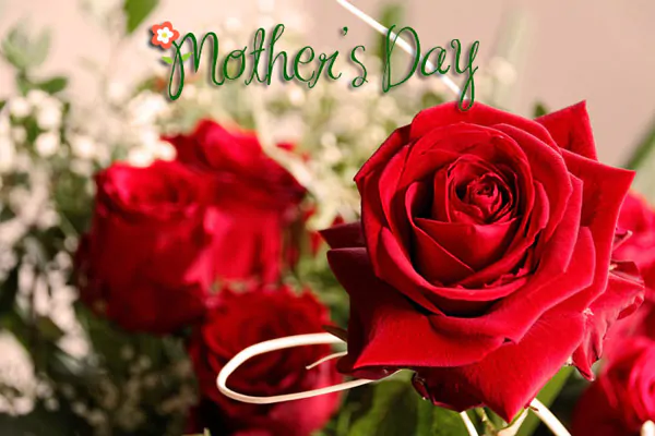 bellas frases de feliz Día de la Madre.#SaludosParaDiaDeLaMadre,#FrasesParaDiaDeLaMadre,#MensajesParaDiaDeLaMadre,TarjetasParaDiaDeLaMadre